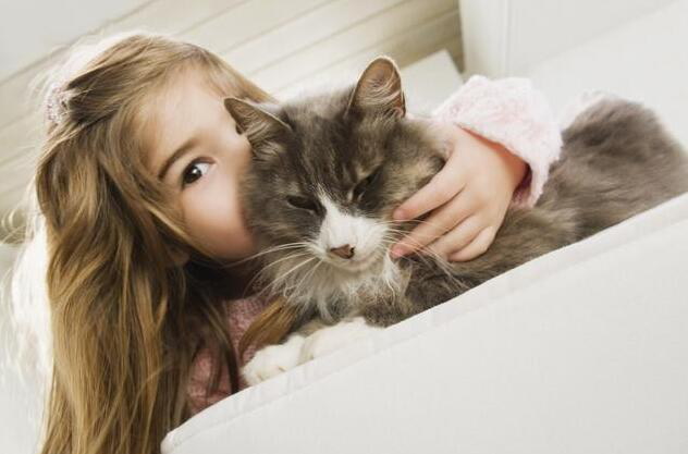 寵物店收銀系統